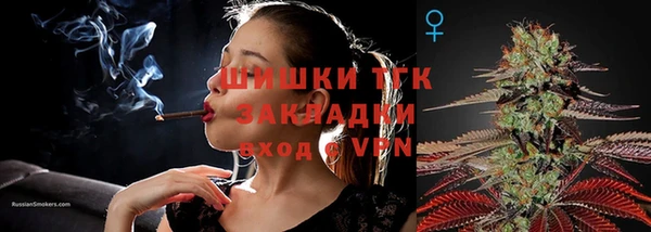 гидра Балахна