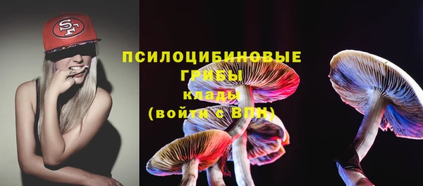 гидра Балахна