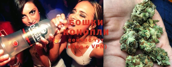 гидра Балахна
