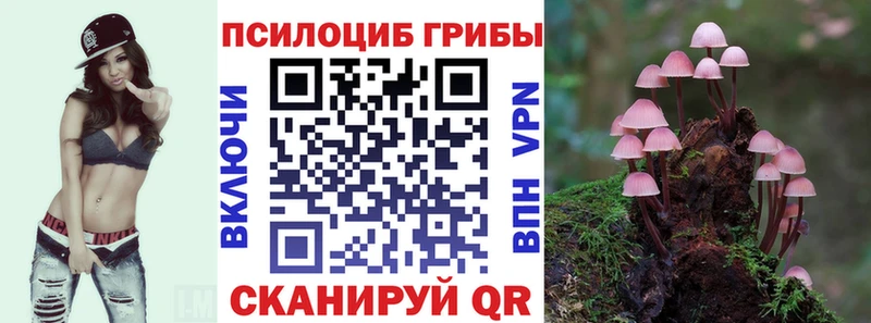 Псилоцибиновые грибы Cubensis blacksprut рабочий сайт Ессентуки